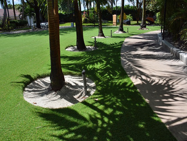 Synthetic Turf Dickson, Tennessee Cat Playground, Commercial Landscape