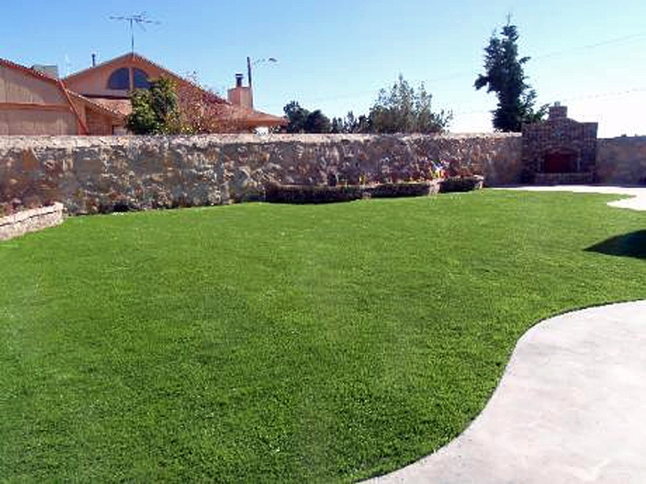 Synthetic Turf Green Hill, Tennessee Backyard Playground, Backyard Garden Ideas