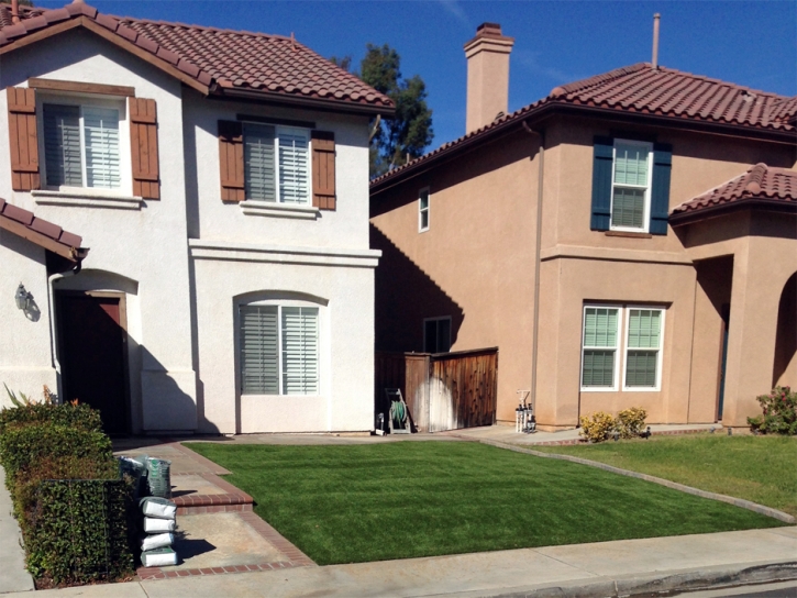 Synthetic Turf Hillsboro, Tennessee Roof Top, Front Yard Landscape Ideas