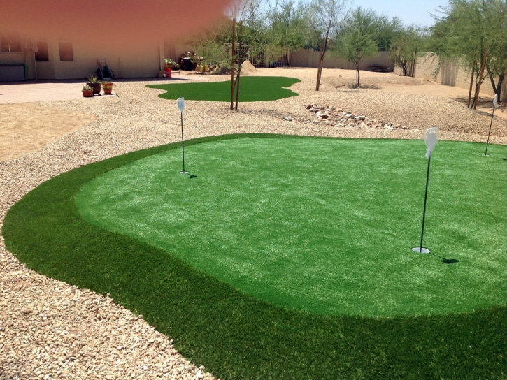 Synthetic Turf Supplier Bristol, Tennessee Home Putting Green, Backyard Landscaping Ideas