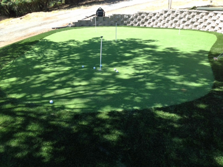 Synthetic Turf Supplier Dyersburg, Tennessee Golf Green, Backyard Garden Ideas