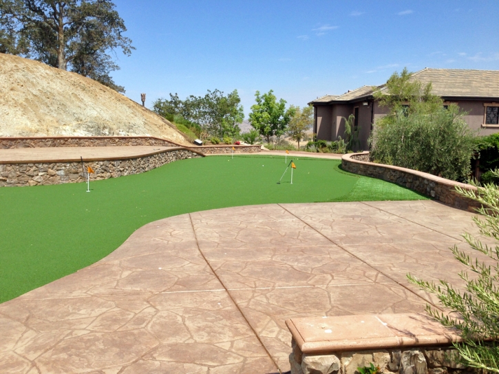 Synthetic Turf Supplier Gallaway, Tennessee Putting Greens, Backyard Landscaping Ideas