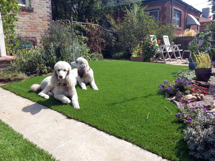 Synthetic Turf Supplier Humboldt, Tennessee Pet Turf, Front Yard Landscape Ideas