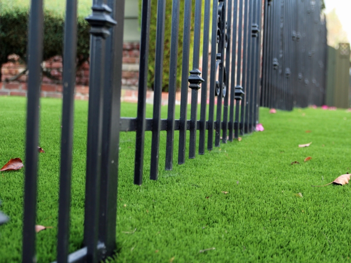 Synthetic Turf Supplier Lafayette, Tennessee Home And Garden, Front Yard