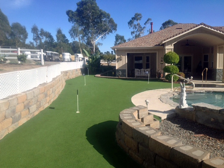 Synthetic Turf Supplier Lobelville, Tennessee Home And Garden, Backyard Makeover