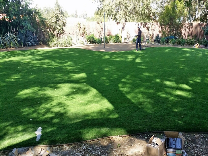 Synthetic Turf Supplier Newport, Tennessee Backyard Deck Ideas, Backyard Landscape Ideas