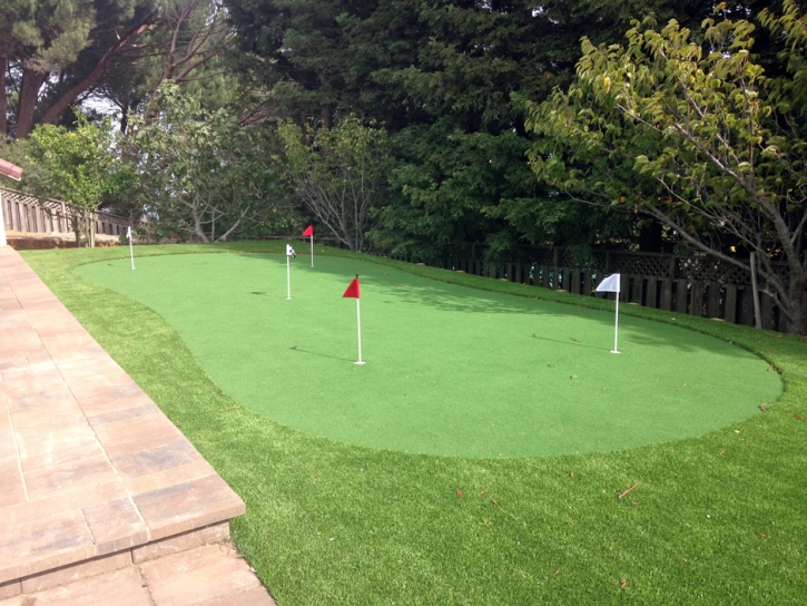 Synthetic Turf Supplier Walnut Hill, Tennessee Office Putting Green, Beautiful Backyards