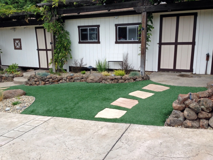 Synthetic Turf Supplier Williston, Tennessee City Landscape, Front Yard Ideas