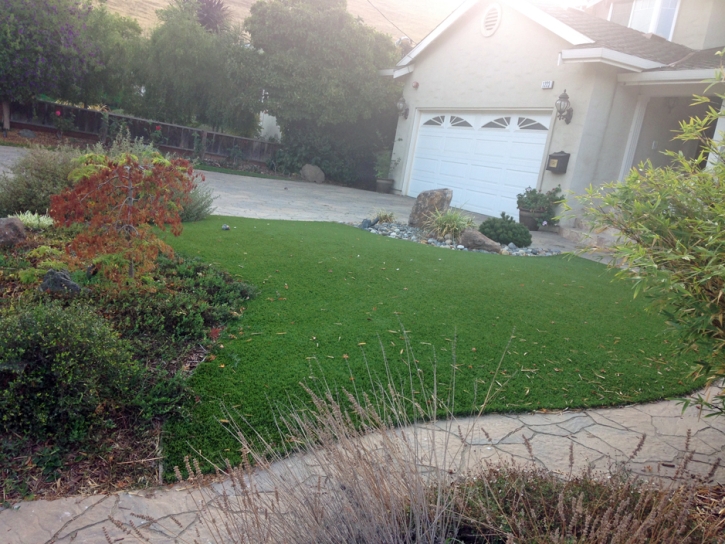 Synthetic Turf Tennessee Ridge, Tennessee Backyard Playground, Landscaping Ideas For Front Yard