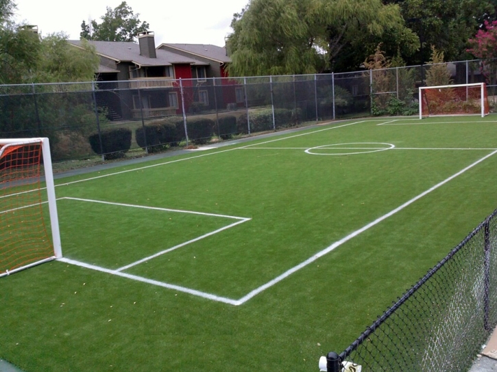 Synthetic Turf White Bluff, Tennessee High School Sports, Commercial Landscape