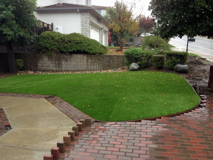 Turf Grass Bethel Springs, Tennessee Gardeners, Backyard Landscaping