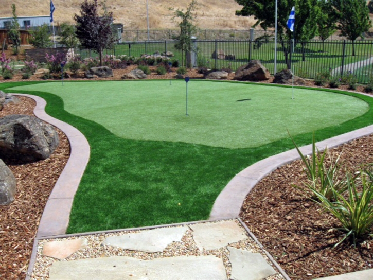 Turf Grass Ducktown, Tennessee Outdoor Putting Green, Backyard