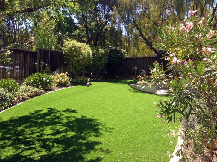 Turf Grass Martin, Tennessee Paver Patio, Beautiful Backyards