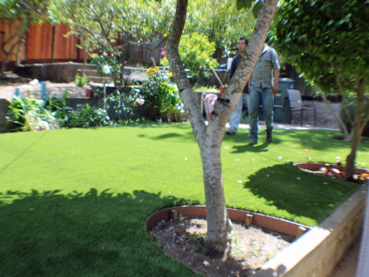 Turf Grass Midtown, Tennessee Lawn And Garden, Backyard Garden Ideas