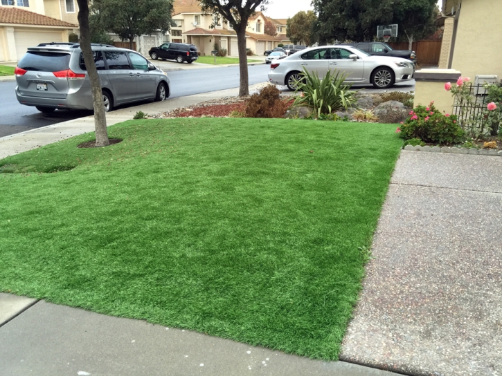 Turf Grass Walterhill, Tennessee Landscape Photos, Front Yard Landscaping